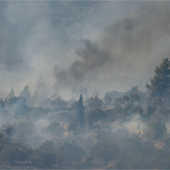 A Climate of Wildfires