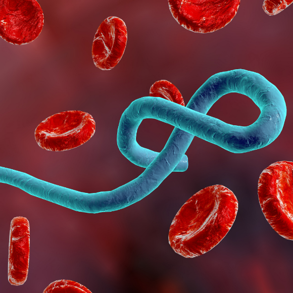 أمراض بلا حدود: الحُمّيات النّزفيّة، الحصبة والسّلّ