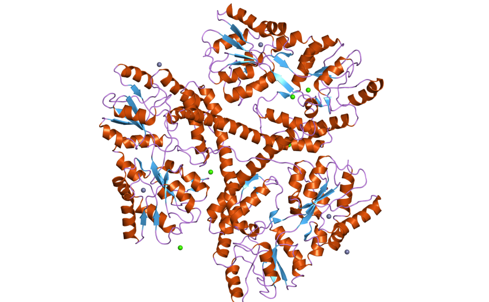 הטיפול החדש נועד למנוע את ייצור החלבון הפגום באמצעות ריפוי גֵּני. חלבון הנטינגטין | Jawahar Swaminathan and MSD staff at the European Bioinformatics Institute, Public Domain