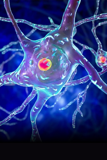 להאט את מחלת הנטינגטון