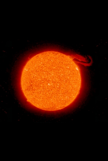 הכוכבת של השכונה: השמש