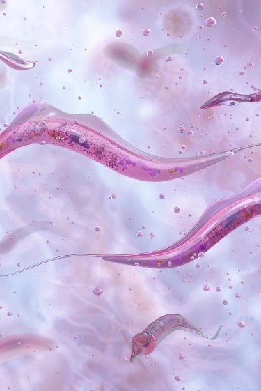 לא כל המוטציות אותו דבר