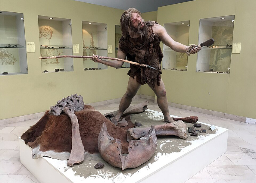 ייתכן שהאדם המודרני פשוט הקדים את הניאנדרטלים בליקוט מזון ובשדות הציד, ולהם נשאר פחות. פסל של ניאנדרטל צד | צילום: Sadko, Wikipedia