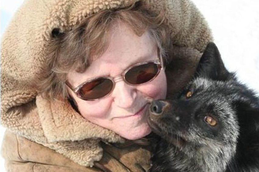 תוך שישה דורות התקבלו שועלים שהתנהגו ממש כמו כלבים. לודמילה טרוט, תלמידתו של בלאייב, עם שועל כסוף מבוית | ויקימדיה, Vasiliy Koval