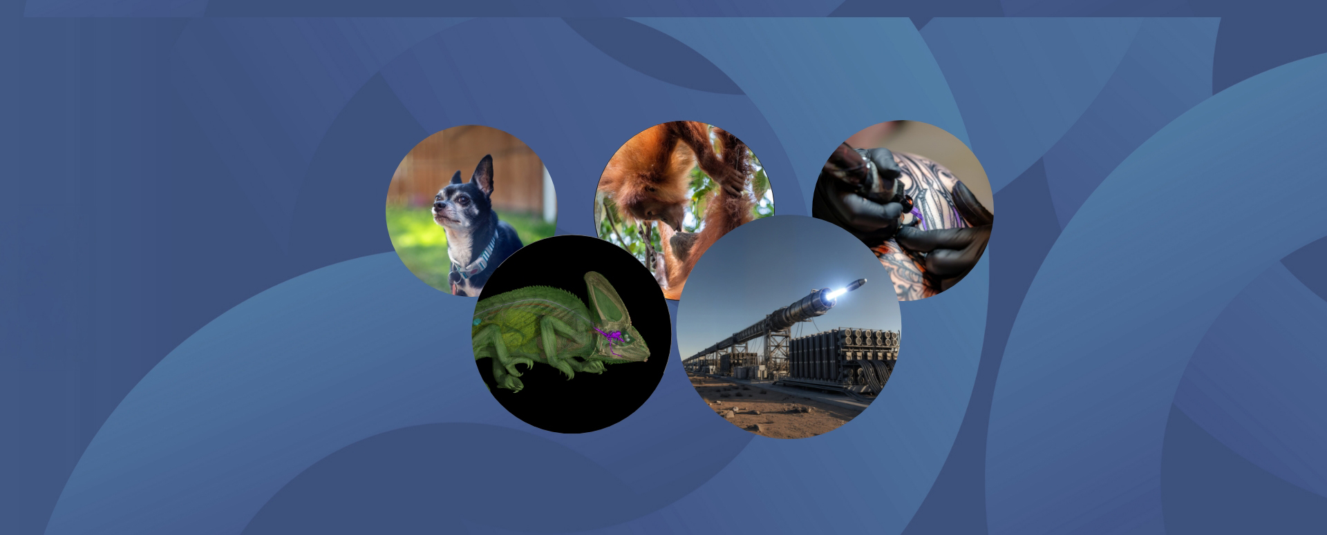 המחקרים החדשים ביותר: מהנשמדע 6/12/2025