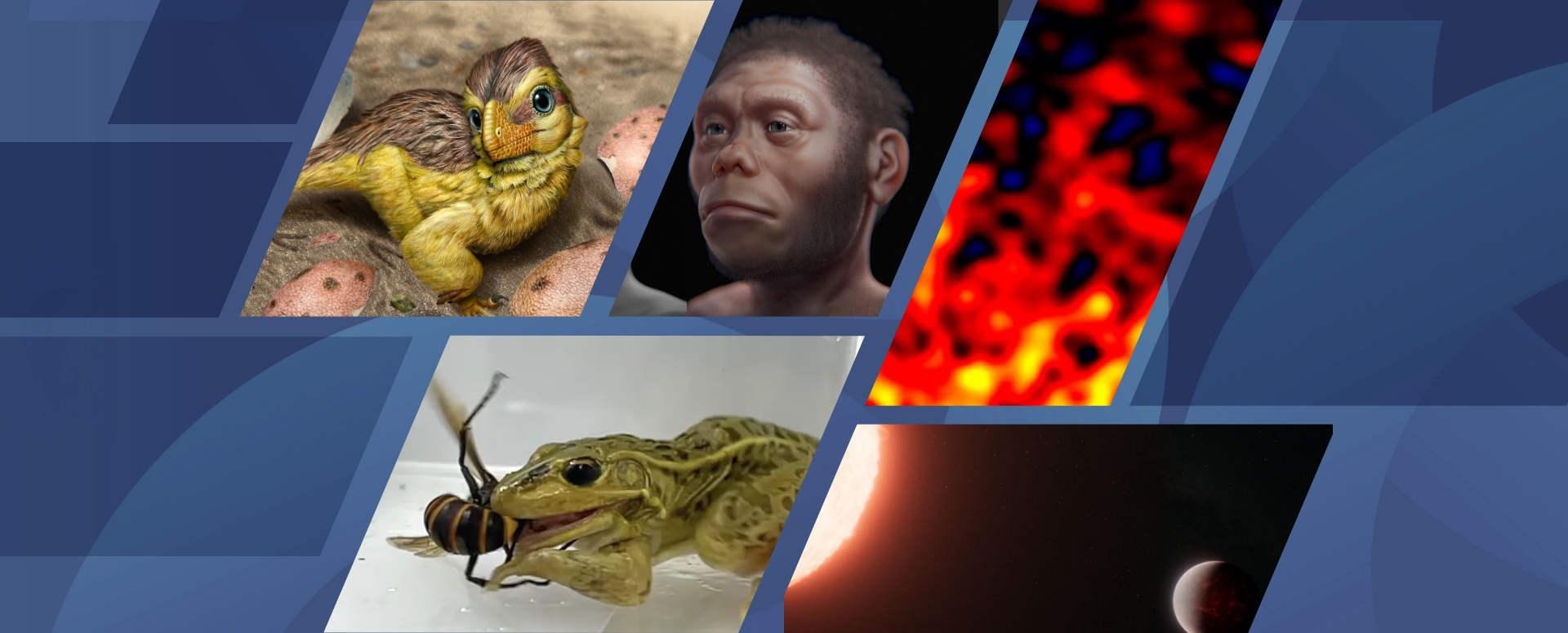 המחקרים החדשים ביותר: מהנשמדע 20/12/2025