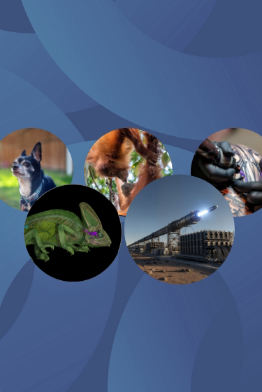 המחקרים החדשים ביותר: מהנשמדע 6/12/2025