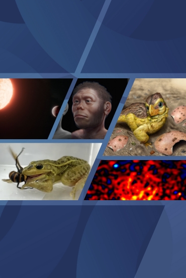 המחקרים החדשים ביותר: מהנשמדע 20/12/2025