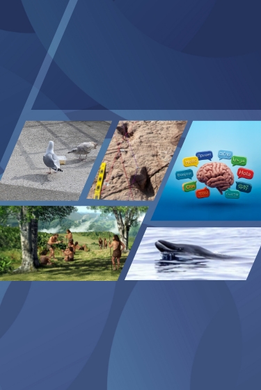 המחקרים החדשים ביותר: מהנשמדע 13/12/2025