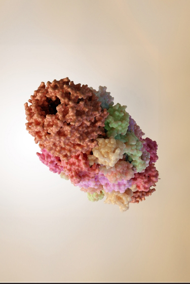 מחקר ישראלי בין עשרת המשפיעים של Nature