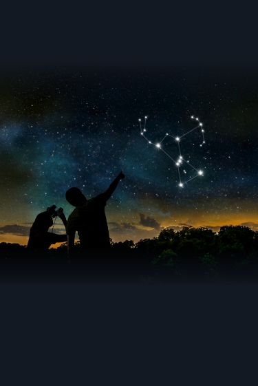 הכוכבים של החורף