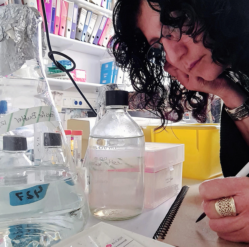 שירלי סיגל מציירת במעבדה | צילום: באדיבות שירלי סיגל