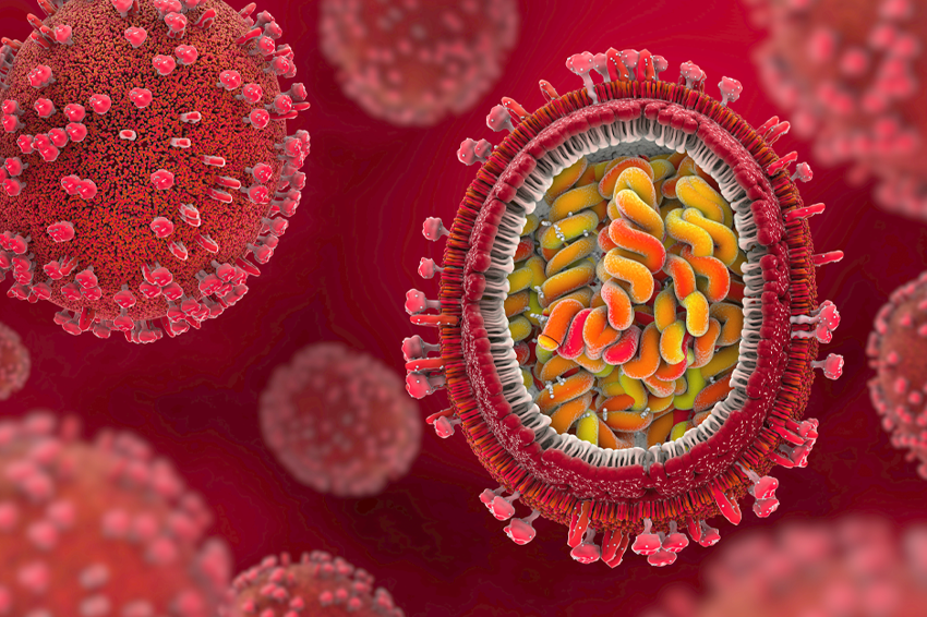 לחיסון לוקח כשבועיים מקבלתו לספק את מלוא ההגנה, כך שאם טרם עשיתם זאת, מומלץ למהר ולהתחסן. אילוסטרציה של נגיף השפעת | Shutterstock, Christoph Burgstedt