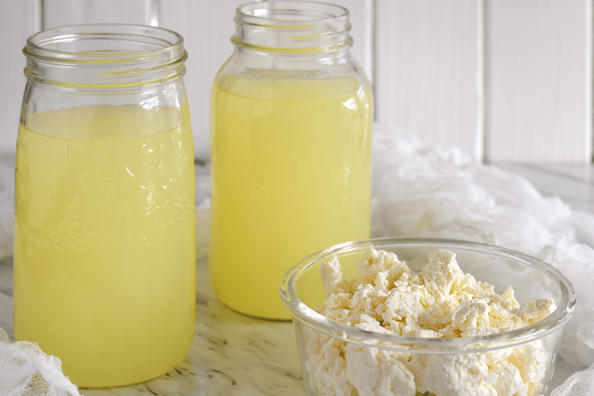 תוצר לוואי של ייצור גבינות. צנצנות מי גבינה לצד גבינת קוטג' | צילום: JulieK2, Shutterstock