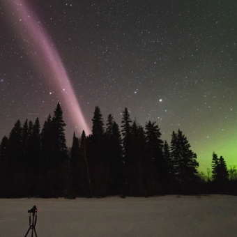 תופעת טבע ושמה סטיב