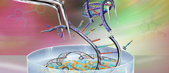 עריכת פריים | איור: Science Photo Library