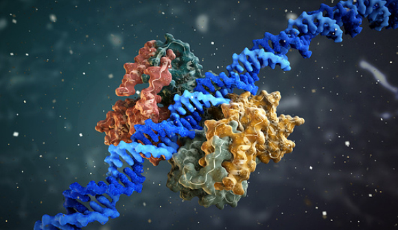 **איור של חלבון ו-DNA**