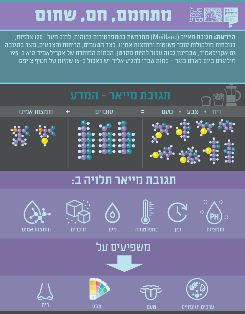 אינפוגרפיקה