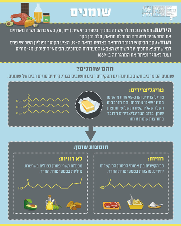 אינפוגרפיקה