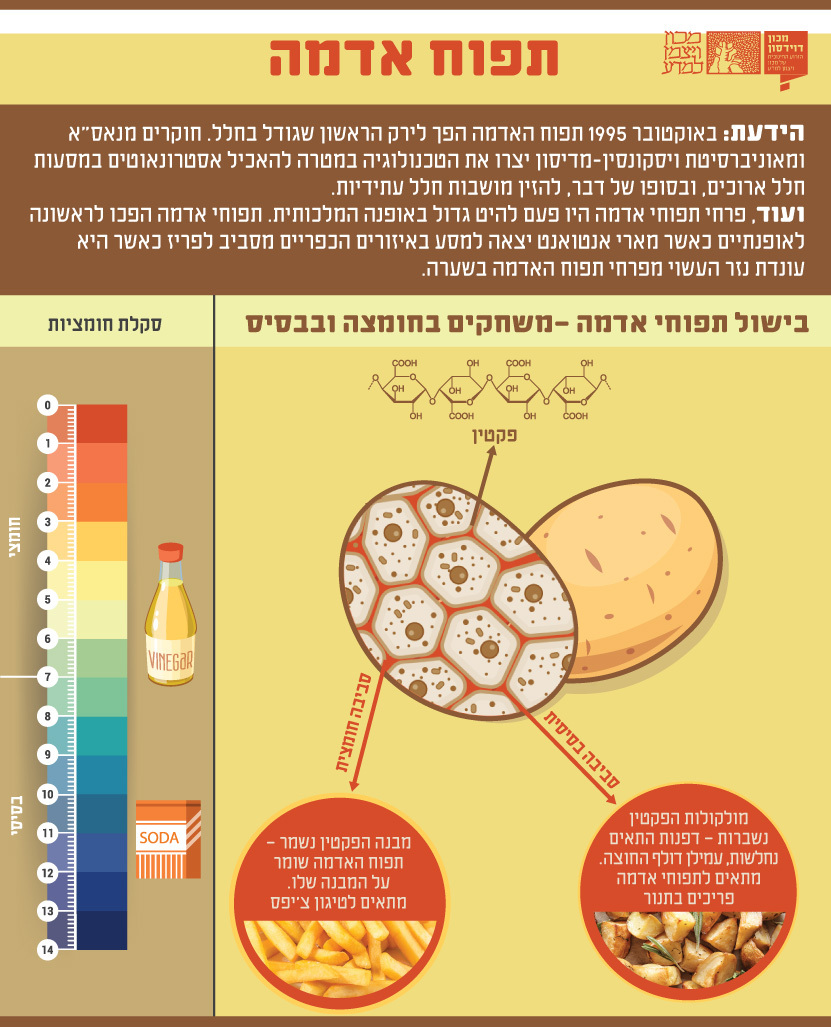 להכניס למים כאשר הם עדיין פושרים, או כאשר הם כבר רותחים? תלוי בתוצאה המבוקשת | Shutterstock, trevorb