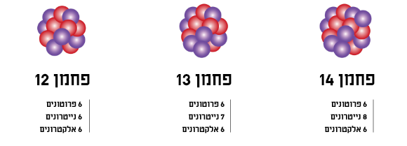 האיזוטופים הטבעיים של פחמן. אלה אטומים זהים מבחינה כימית, שנבדלים רק במספר הנייטרונים בגרעין ולכן בתכונות פיזיקליות כמו מסה וקצב ההתפרקות הגרעינית | איור: zizou7, Shutterstock. תרגום: ליאת פלי