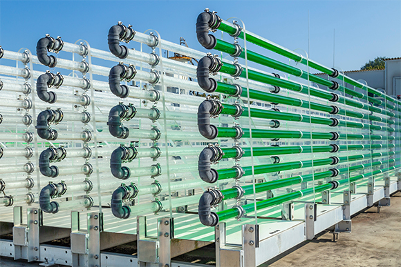 נעזרים באנרגיית השמש, וחוסכים שטח ומים. מתקן לגידול אצות כדי להפיק מהן חלבון, שומנים ודלק בהולנד | צילום: INTREEGUE Photography, Shutterstock