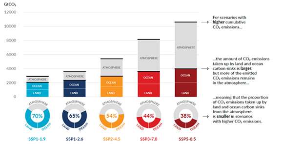 In the optimistic scenarios (left), only a third of the carbon dioxide we emit accumulates in the atmosphere (marked in gray in each column). In the more pessimistic scenarios, the oceans and land absorb only about 40 percent of greenhouse gasses | Source: IPCC Report.