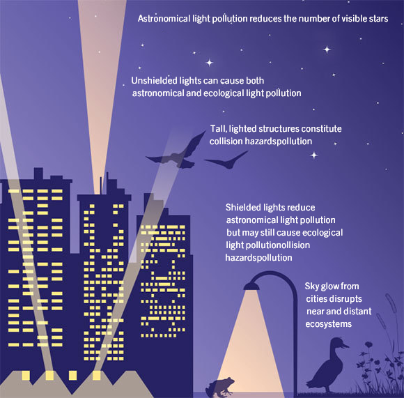 Ecological and astronomical light pollution, from a report by The Israeli Society of Ecology and Environmental Sciences