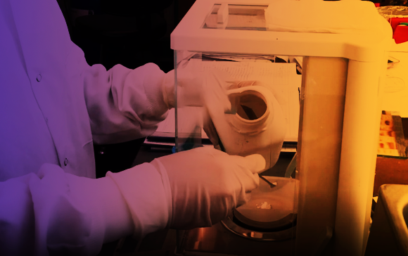 החומר הפחית את הרגישות לכאב בלי לגרום לתופעות הבעייתיות של האופיואידים | צילום מהסרטון Astraea Therapeutics