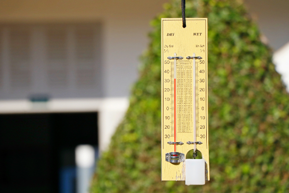 השוואה בין טמפרטורת גולה לחה (מימין) ליבשה | צילום: YONGYUT.TT, Shutterstock