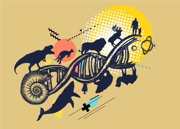 גם כיום רבים עוד רואים באדם את פסגת האבולוציה. מהחיות לאדם | איור: intueri, Shutterstock