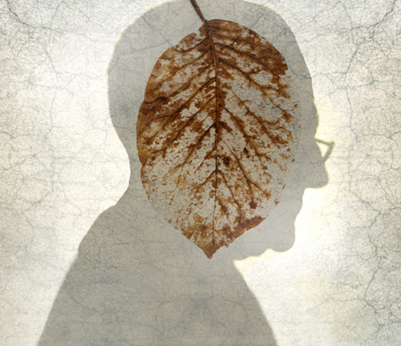 עלה מתפורר במוח של גבר זקן