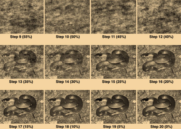 בולט מאוד עד מוסווה מאוד. כמה מתמונות הנחשים ששימשו במחקר היפני | מקור: PLoS One