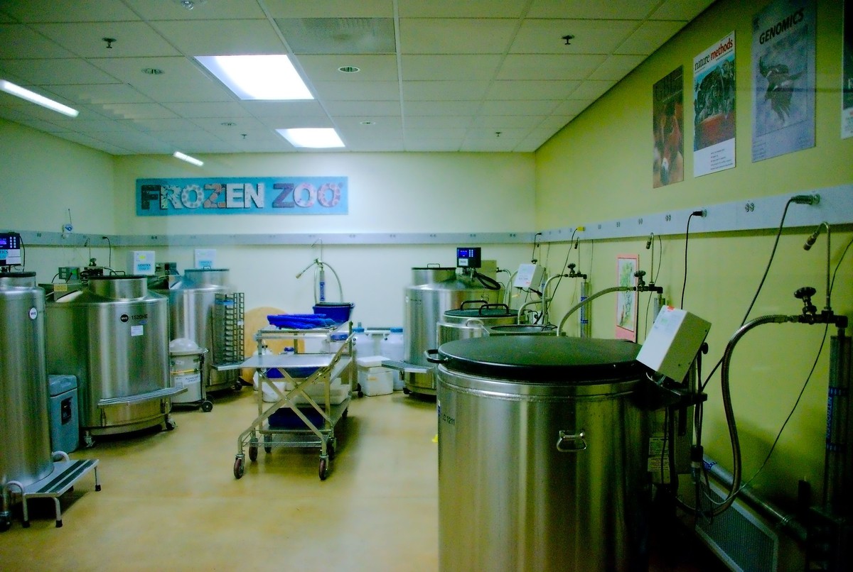 "גן החיות הקפוא" בסן דייגו | צילום: Josh More, Flickr