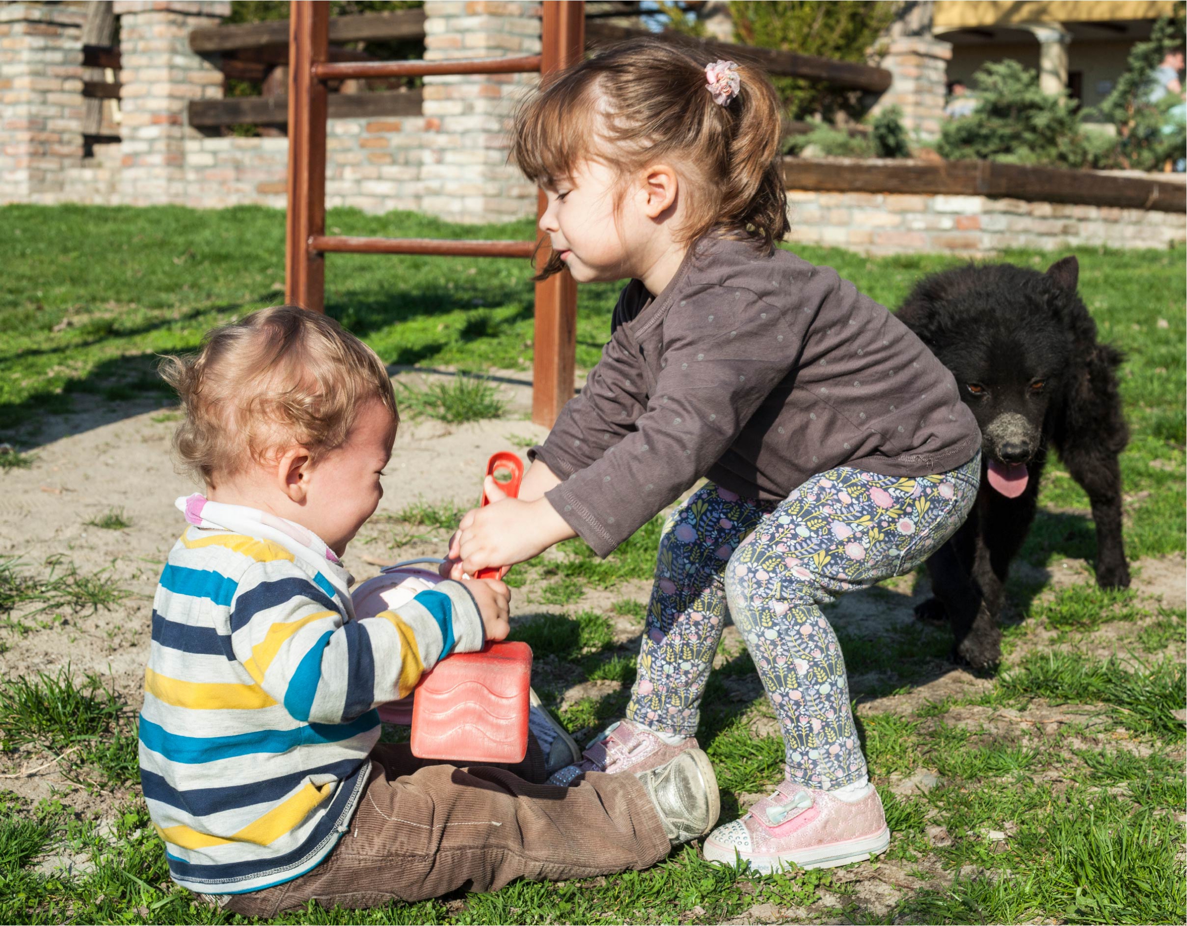 אח ואחות רבים על צעצוע | Shutterstock, Dragana Djorovic
