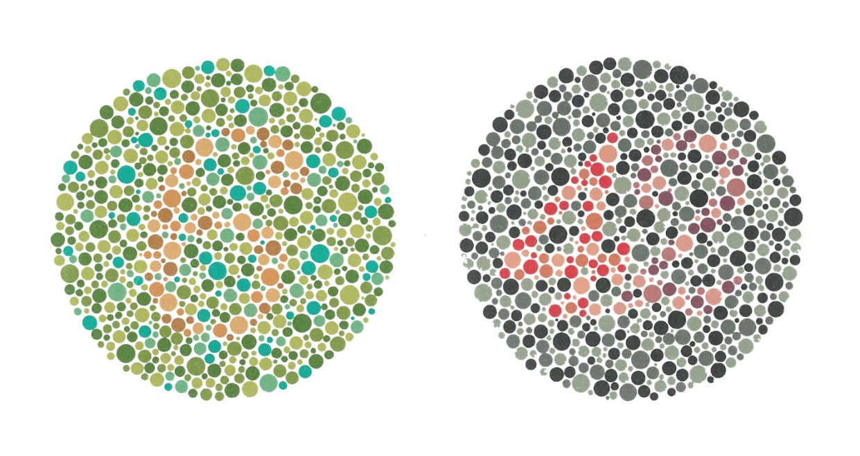 מי שאינו עיוור צבעים יראה בלוח הימני את מספר "42" ובשמאלי את הספרה "6". מבחן אישיהרה | מקור: ויקיפדיה, נחלת הכלל