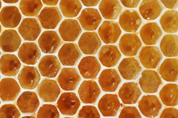 המון סוכר עם קצת חומצות ואנזימים מקיבת הדבש של הדבורה. דבש בחלה | צילום: Science Photo Library