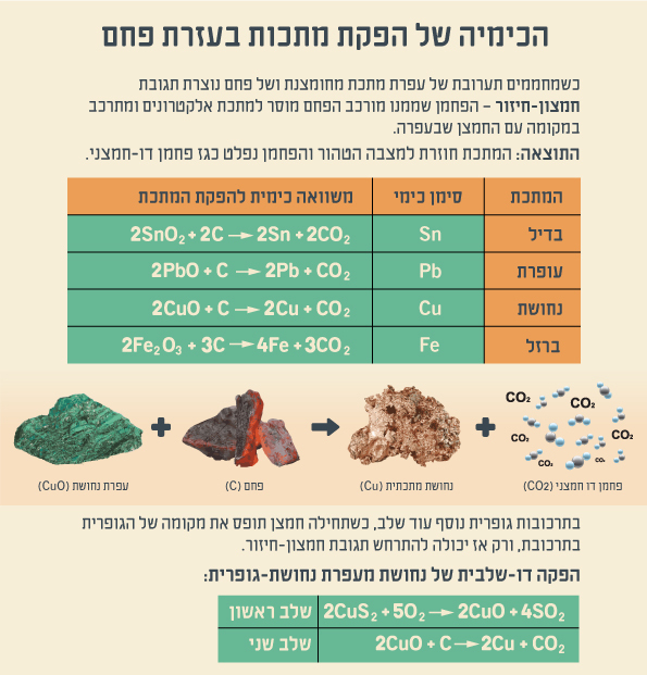 אינפוגרפיקה