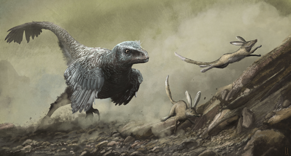 ולוסירפטור רודף אחר טרף | איור: MARK P. WITTON / SCIENCE PHOTO LIBRARY