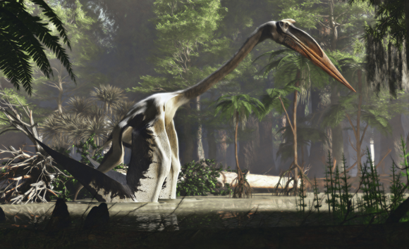 קווצאלקואטלוס | איור: JAMES KUETHER / SCIENCE PHOTO LIBRARY