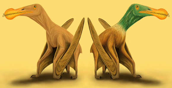 מראה אפשרי של פטרוזאור | איורים: Megan Jacobs, University of Portsmouth