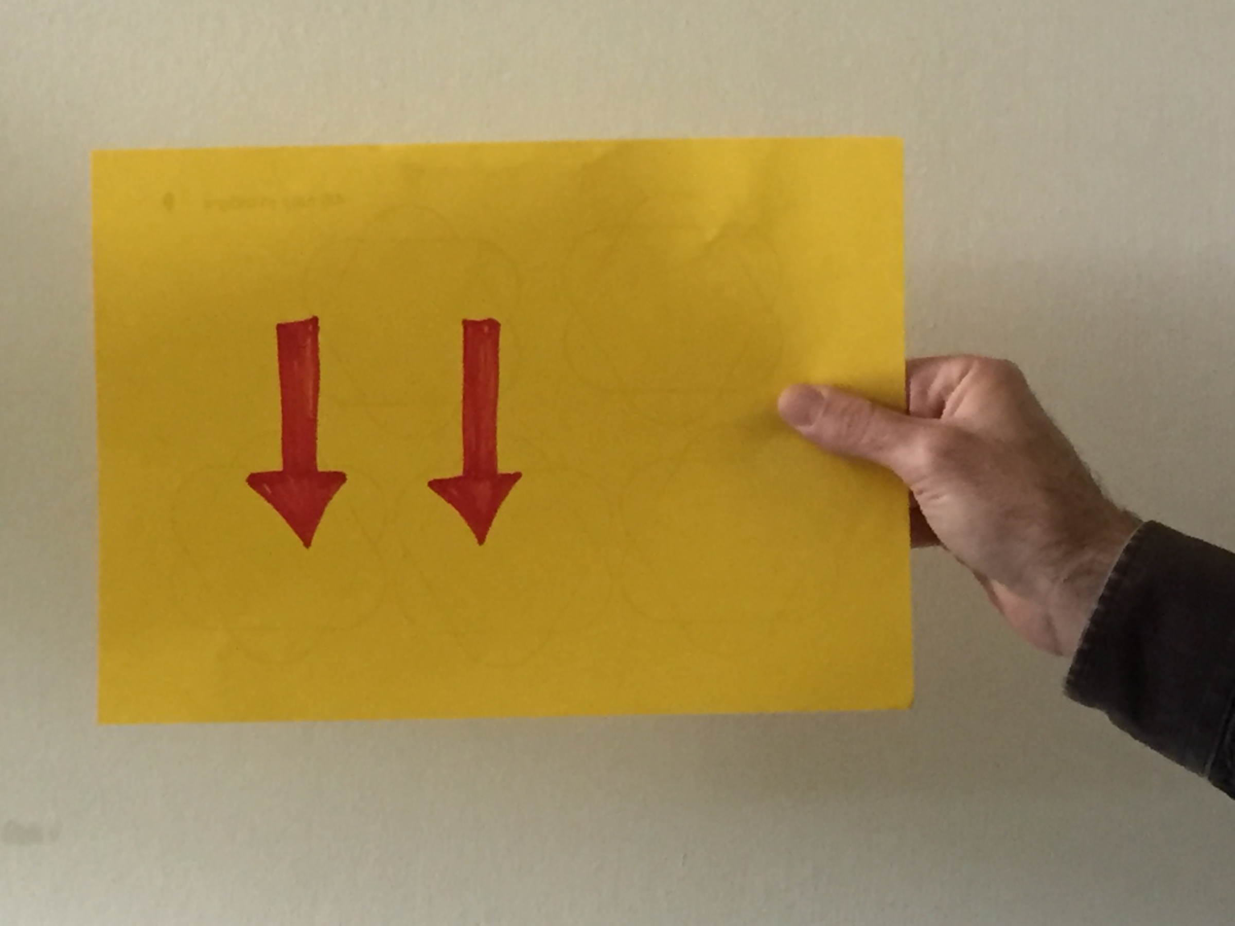 נייר המוחזק במאונך לקרקע כך שכוח המשיכה פועל במקביל למשטח שלו לא מתכופף | צילום: איילת אלבנדה.