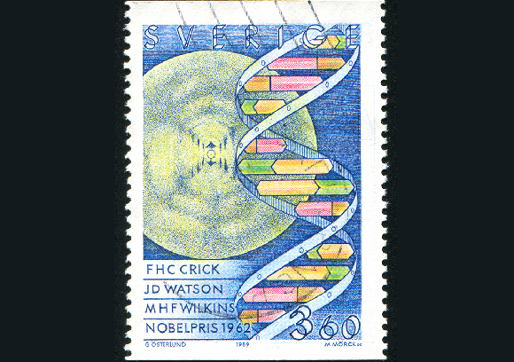 פרנקלין כבר לא הייתה בין החיים. בול שוודי לציון המאורע נושא את תמונת הסליל הכפול, ואת מדידות הרנטגן של פרנקלין שעזרו לפענח את המבנה | Shutterstock, rook76