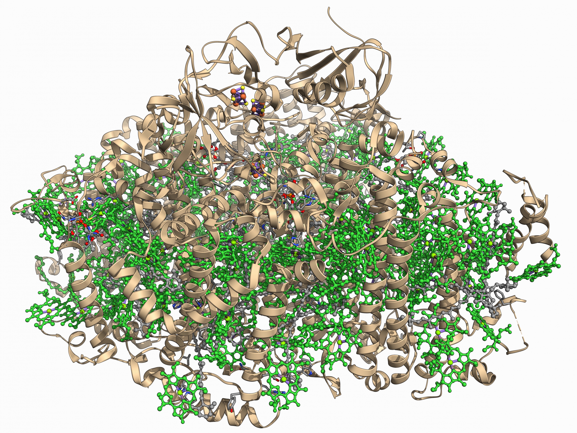מודל של PHOTOSYSTEM 1