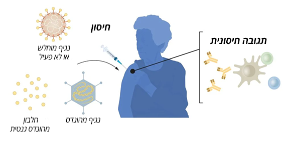 חיסונים "קלאסיים" כוללים את גורמי המחלה עצמם או חלקים מהם. איור המראה סוגים שונים של חיסונים שקדמו לחיסוני ה-mRNA | איור: Nobelprize.org
