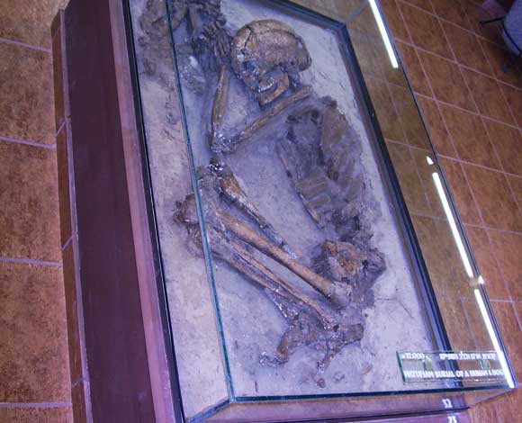 אשה מהתרבות הנאטופית קבורה עם גור זאב או כלב. ממצא מאתר עינן בעמק החולה, במוזיאון מעין ברוך | צילום: Dr. Avishai Teicher Pikiwiki Israel