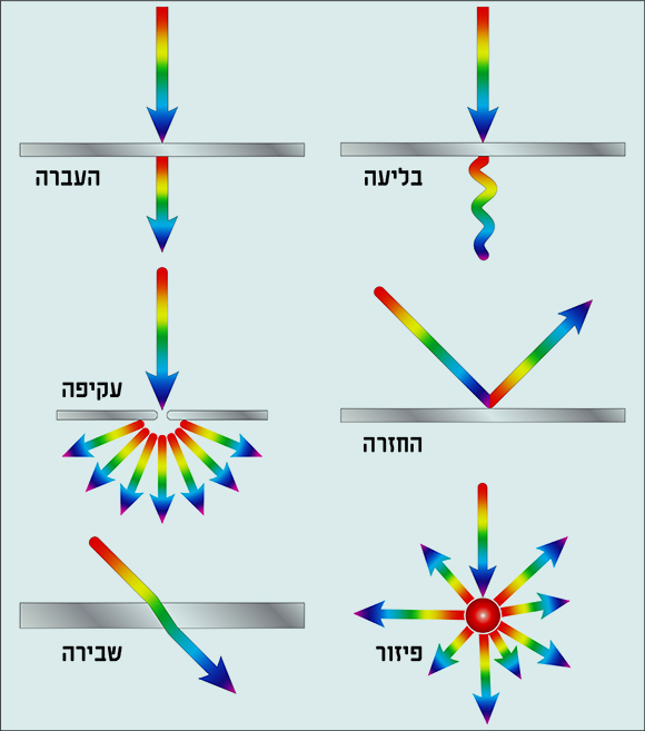 התהליכים שיכולים להתרחש במפגש בין האור למשטח תלויים בעיקר בסוג המשטח | איור: Fouad A. Saad, Shutterstock