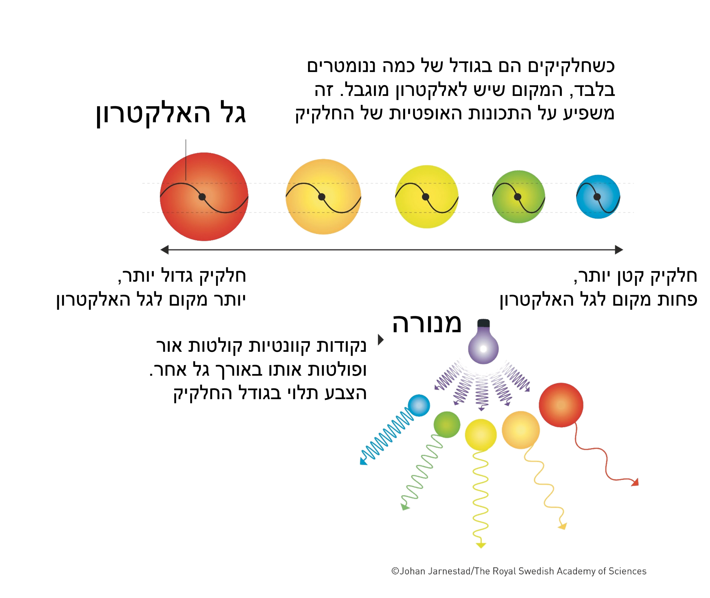 גודל הנקודה הקוונטית משפיע על התכונות האופטיות שלה, ועל אורך הגל - כלומר צבע האור - שהיא פולטת | איור: © Johan Jarnestad/The Royal Swedish Academy of Sciences