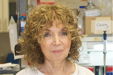 מיכל שוורץ | צילום: מכון ויצמן למדע