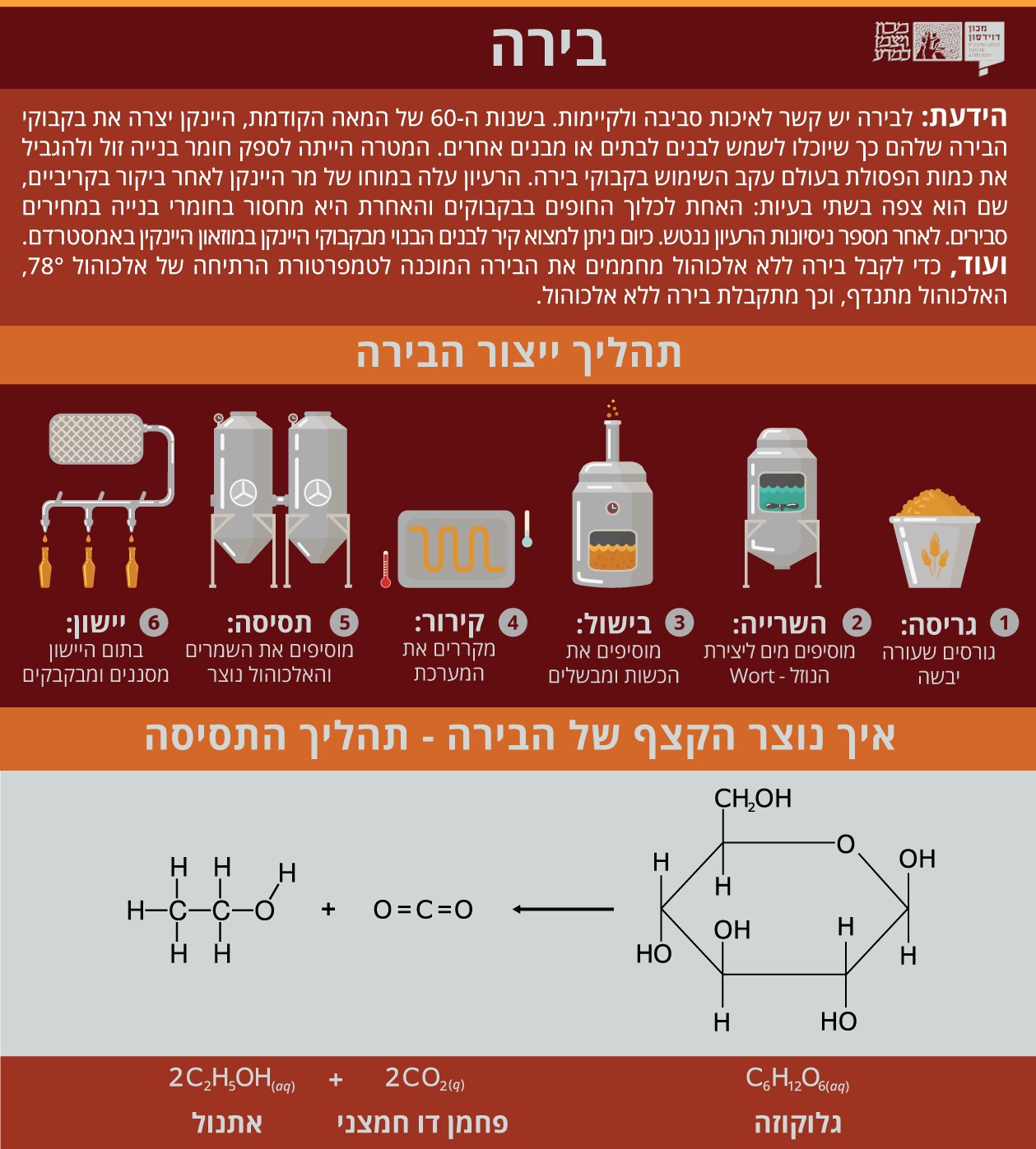 ***אינפוגרפיקה